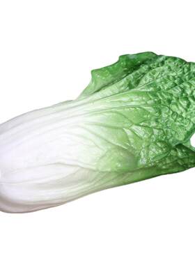 仿真蔬菜模型菜花装饰茄子摆件