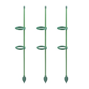 海芋专用支撑杆全新升级绿天鹅支撑杆防止倒伏彩叶芋固定造型通用