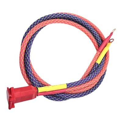 16平方加粗锂电铅酸电池