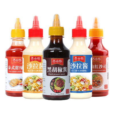 番茄酱沙拉酱组合水果蔬菜汉堡