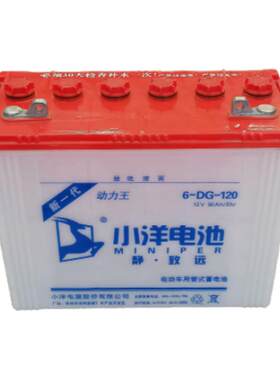 电动三轮车120A蓄电池小洋水电瓶