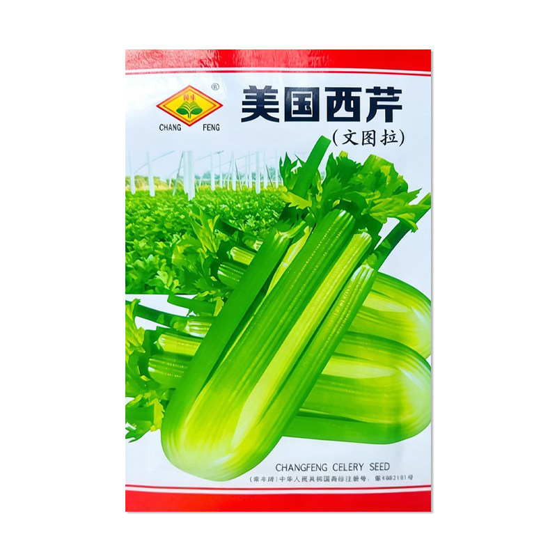 常丰美国西芹种子蔬菜种子