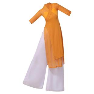 古典练功服女成人中国古风网纱衣形体训练飘逸表演出舞蹈服装芒种