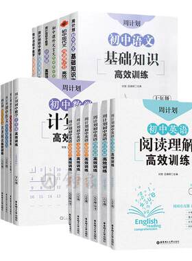 初中周计划高效综合训练