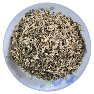 蓍草一支蒿飞天蜈蚣缠腰带状草庭院阳台养生泡茶乳蛾皮肤药材盆栽