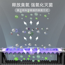 多朗除甲醛空气净化器新房装 修甲醛分解家用办公室臭氧机除臭除味