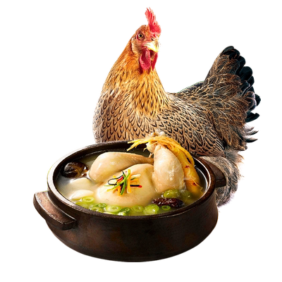 天农清远老母鸡整鸡炖汤煲汤滋补