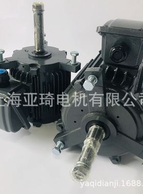 冷却塔电机 LIANGCHI 电机FBNV-DW 5HP3.7KW10P AEVH-NV