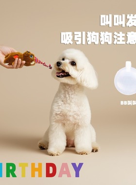fetch飞奇狗玩具毛绒磨牙发耐咬纸互动生日派对解闷嗨拔河声响自