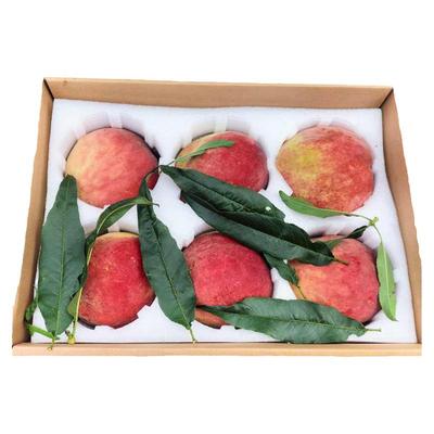 云南中华寿桃秘庄雪桃