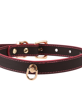 PUPPYRIDER温变puppy魅力项圈