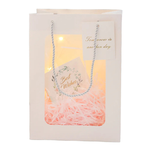 轻奢简约透明开窗礼品手提纸袋高级感装烟鲜花束伴手礼包装手提袋