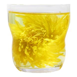 买一送一 金丝皇菊 大黄菊花茶一朵一杯不熏硫清菊花火茶 2罐装