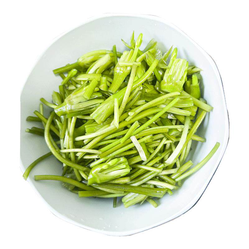 云南新鲜海菜水性杨花时令蔬菜