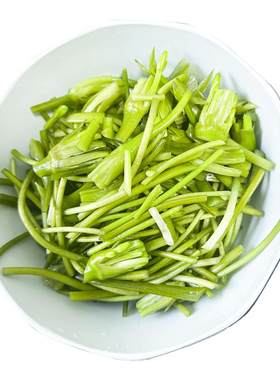 云南新鲜海菜水性杨花时令蔬菜