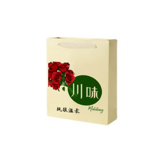 DIY定制白牛皮纸卡纸袋手提袋包装袋礼品袋打印印刷logo专版批发