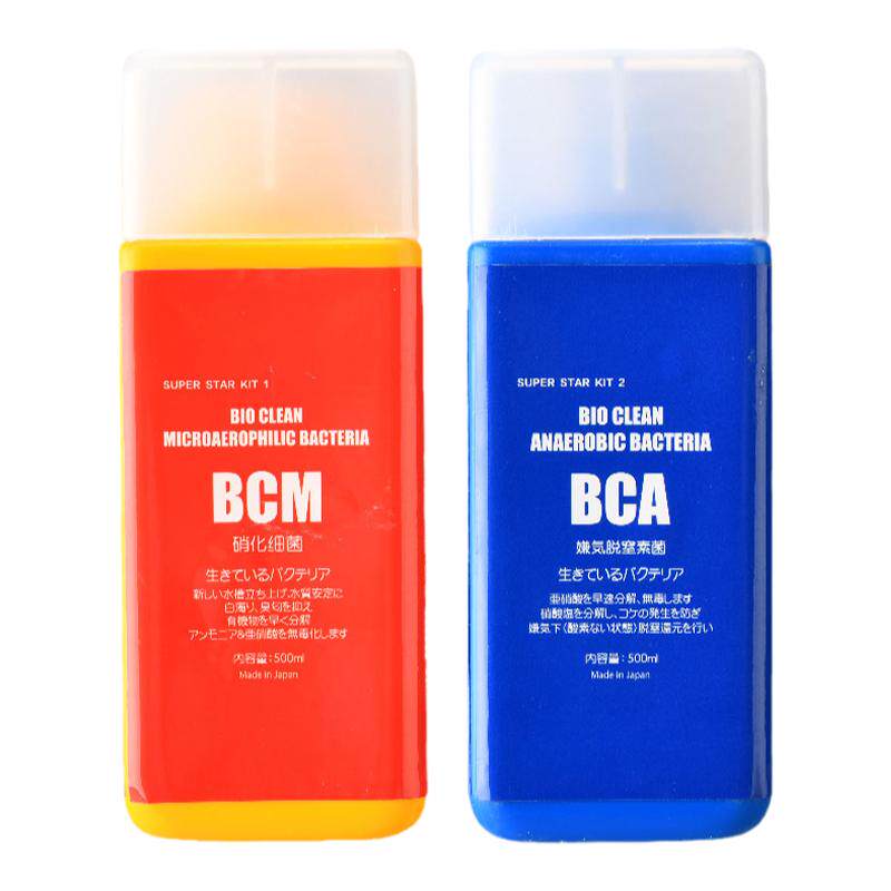 日本bcmbca硝化细菌厌氧菌