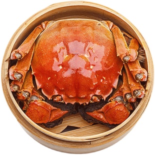 【活蟹净重】高端精品红膏 苏州太湖大闸蟹超大公母螃蟹年货礼盒