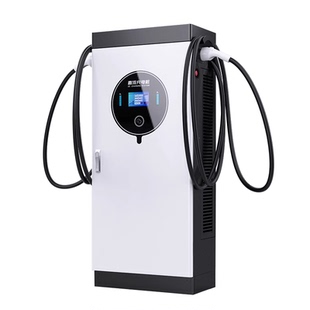云亿兆40/60/80KW直流充电桩商场酒店停车场国标9孔双枪快充桩