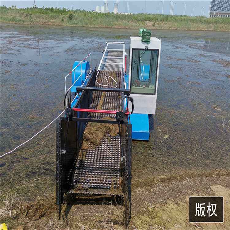 全自动水草收割船 河道除草保洁船设备 清理水面杂草割草船机械