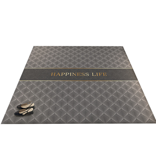 入户门门垫高级感家用进门门口地垫现代简约风地毯耐脏客厅入门垫