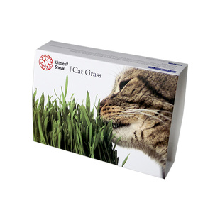 特惠2盒 LittleSneak淘气星球 猫草种植种子猫零食猫薄荷化毛吐毛