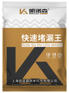 速干水泥堵漏王带水作业