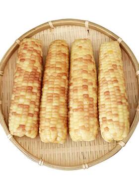 西双版纳新鲜小花糯玉米小玉米即食真空装甜玉米棒子早餐代餐饱腹