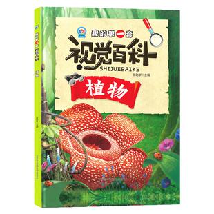 我的第一套视觉百科 植物 儿童课外阅读植物百科全书彩图插画版幼儿园亲子绘本小学生6-9-12科普绘本植物分类珍稀植物科普启蒙绘本