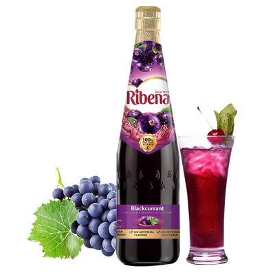 利宾纳黑加仑子汁整箱装