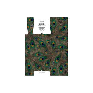 彩画集(兰波散文诗全集) [法]兰波著 王道乾译 译文经典 十九末法国生活风情 诗人对世间的挑战 上海译文出版社 正版