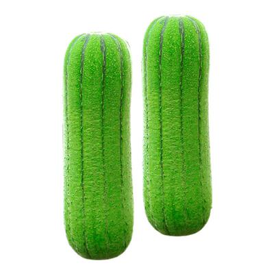 短棒大肉丝瓜秧苗春夏秋季耐热高产四季丝瓜苗蔬菜苗大全秧苗