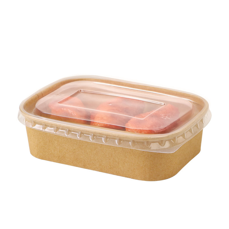 野餐盒一次性饭盒打包盒便当盒