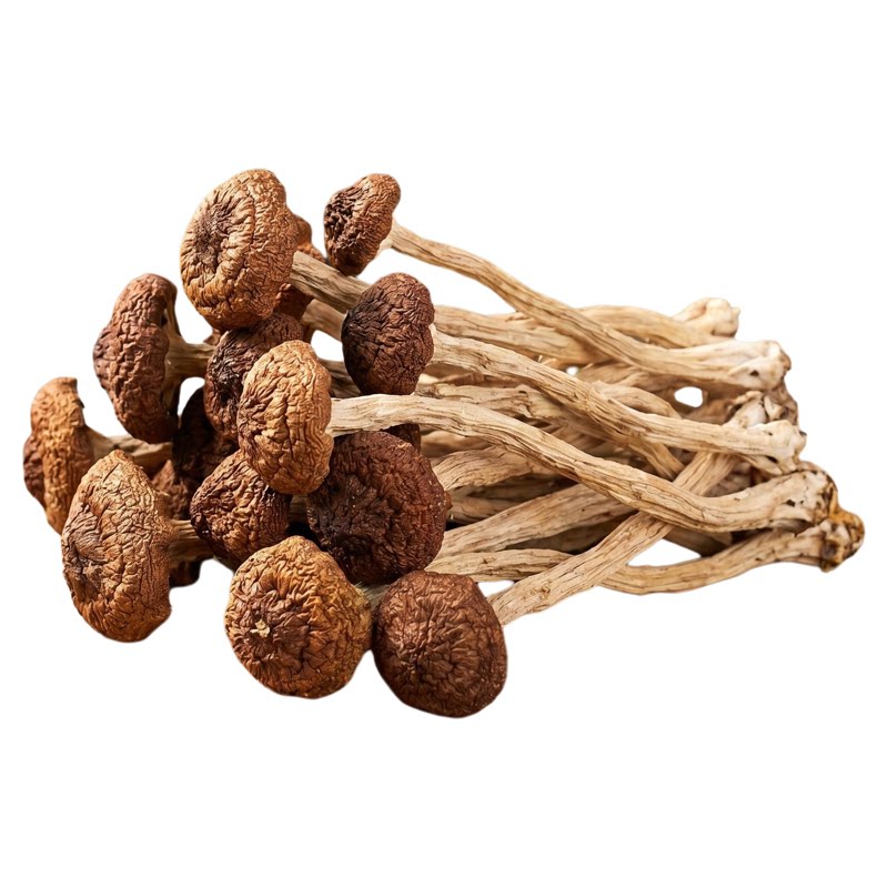 福建特产散装茶树菇干货特级肉厚食用菌煲汤食材炖汤炒菜产地直发