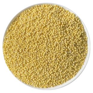 东北大黄米新米黏黄糯小米黍米粘米饭年糕端午包粽子五谷杂粮5斤