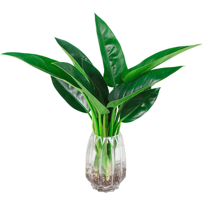 【抢购5.2起】好评率100%金钻！