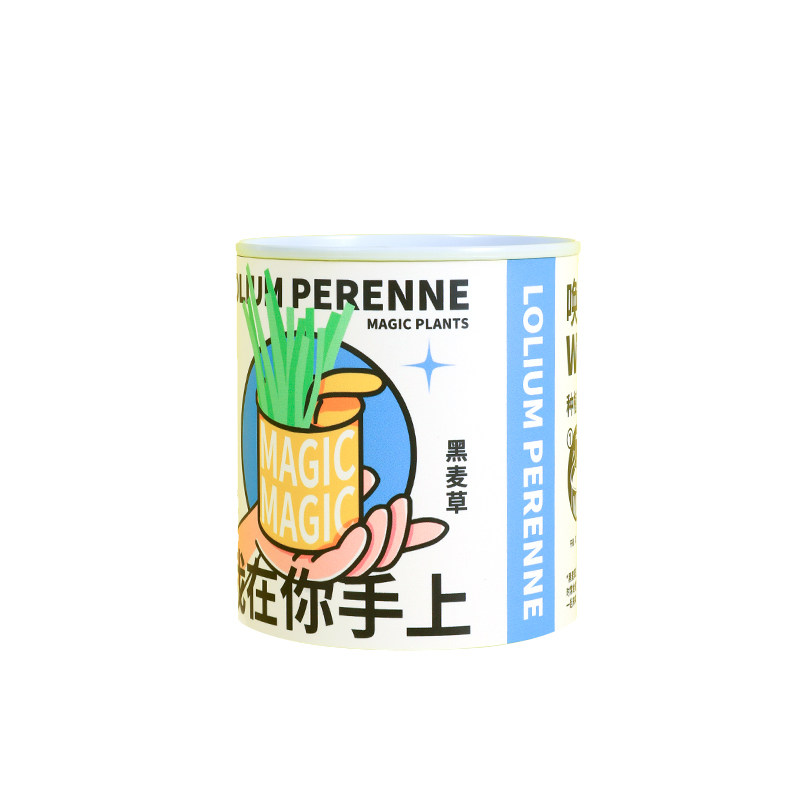 神奇植物向日葵种子猫草罐头植物桌面好养室内盆栽绿植创意礼物