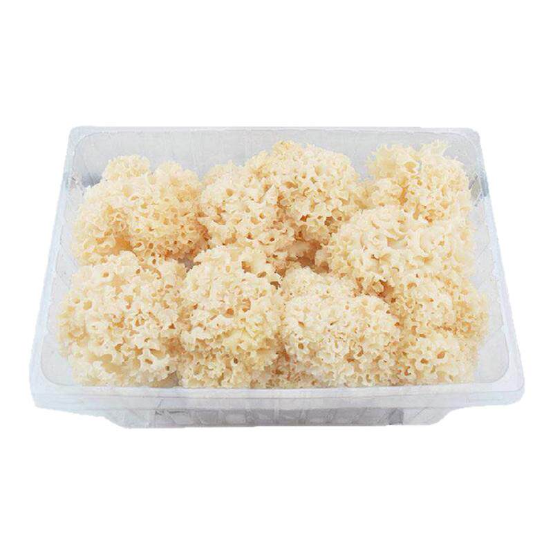 食用菌绣球菌新鲜绣球菇