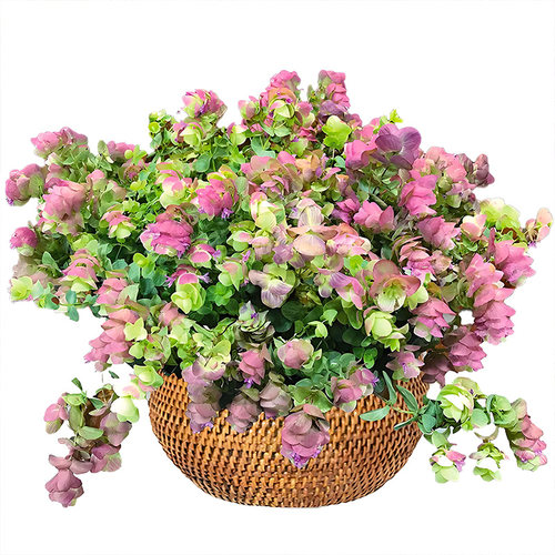 牛至折纸画盆栽多年生花期长成品大苗阳台庭院阳台垂吊观花叶植物