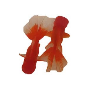 冷水鱼红国狮鸿运当头鹤顶鎏金金鱼苗狮子头好养淡水观赏鱼耐活