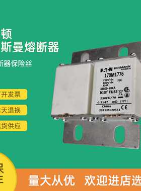 议价全新快速熔断器保险170M1773 170M1774 170M1775 170M1776