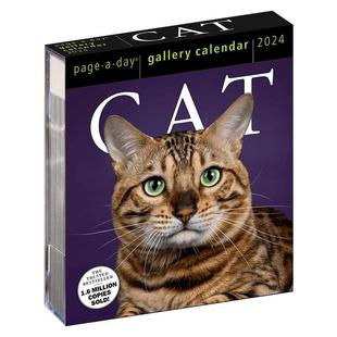 2026年画廊日历 猫咪 宠物摄影 每天一页 进口台历 新年礼物 英文原版 Cat Page-A-Day Gallery Calendar