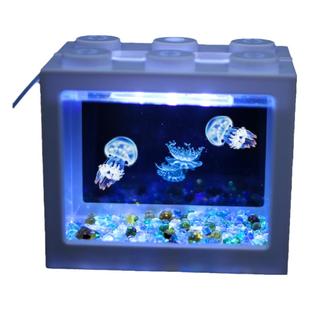 赤月倒立海月水母活物体验缸小型桌面宿舍好养水生宠物观赏小水母