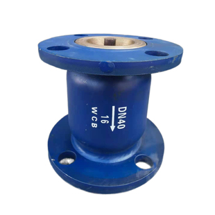 法兰消声止回阀单向阀碳钢HC41X-16水泵静音消防自来水DN50100150