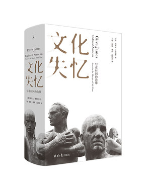 文化失忆写在时间的边缘理想国