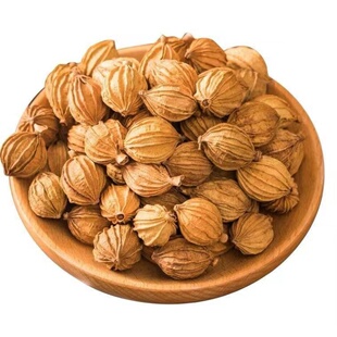 四川香砂仁500g 砂沙仁黄金砂仁优质特产炖肉卤菜调料香料大全