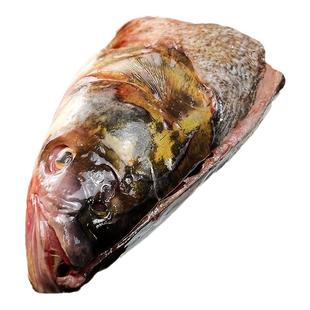 冬捕胖头鱼500g花鲢冻鱼头淡水速冻新鲜淡水鱼鲜活冷冻鲜大头鲢鱼