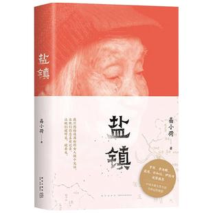 盐镇 易小荷著 女性文学 中国乡镇女性的生活与命运的缩影 米格尔街乡下人的悲歌梁庄 罗新 梁鸿等赤诚推荐