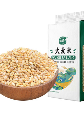 1新米东北大麦仁真空装脱皮去皮大麦粒五谷杂粮煮粥粗粮糯米饭5斤
