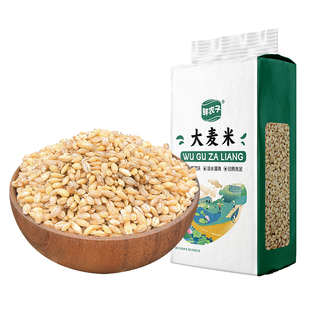 新米东北大麦仁真空装脱皮去皮大麦粒五谷杂粮煮粥粗粮糯米饭5斤